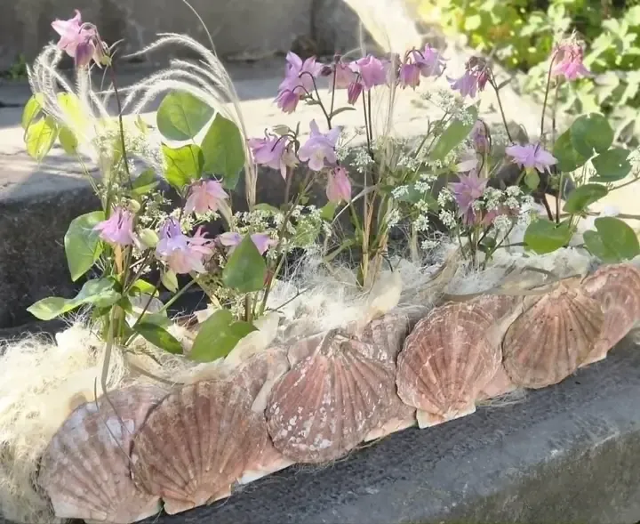 Zomerse schikking met akelei en schelpen