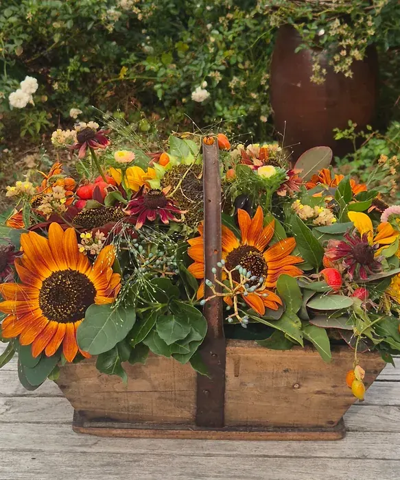 Rijkelijk gevulde oogstmanden in grijstinten, met dahlia's en met zonnebloemen, en de oude Franse manden in de schuur