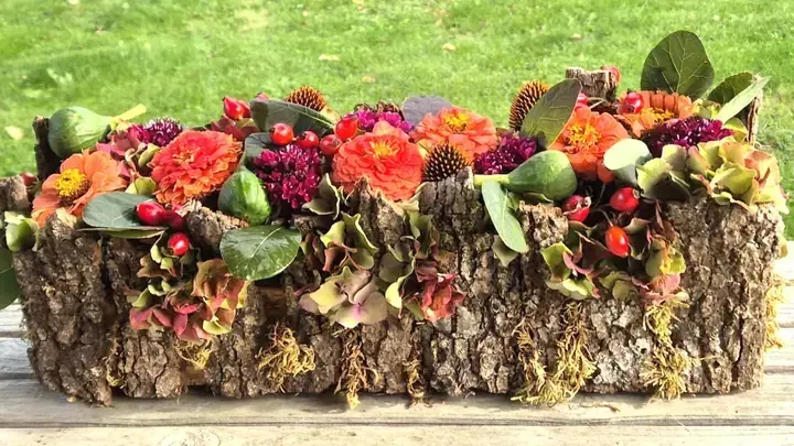 Herfstschikking met zinnia's, hortensia en rozenbottels in een schorsbasis