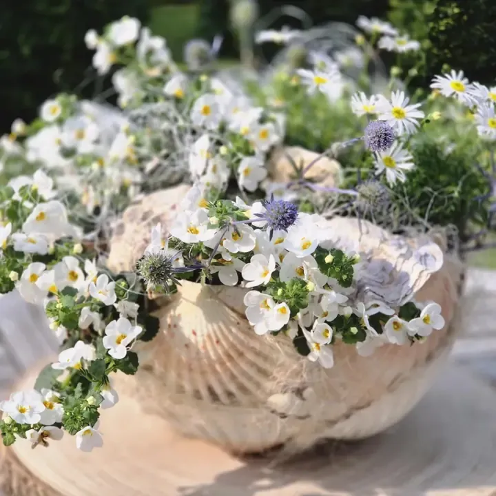 Bol met schelpen in natuurlijk materiaal