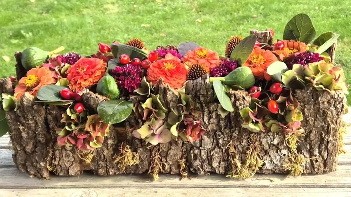 Herfstschikking met zinnia's, hortensia en rozenbottels in een schorsbasis